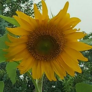 Meet your Posher, Kendra